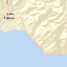 Lobo Street Map