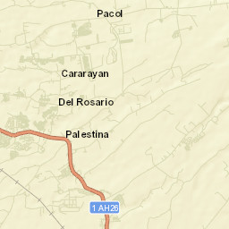 Palestina Street Map