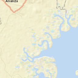 Alianza Street Map