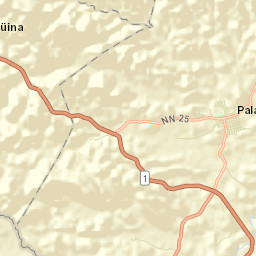Palacagüina Street Map