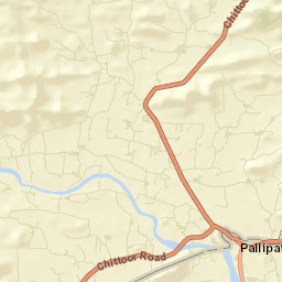 Pallipattu Street Map