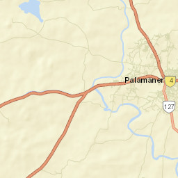 Palmaner Street Map