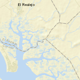 El Realejo Street Map