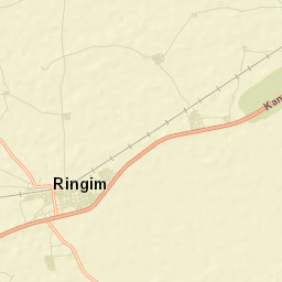 Ringim Street Map