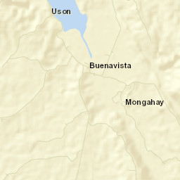 Buenavista Street Map
