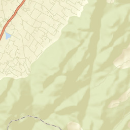 Pallippatti Street Map