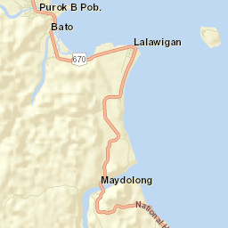 Borongan Street Map