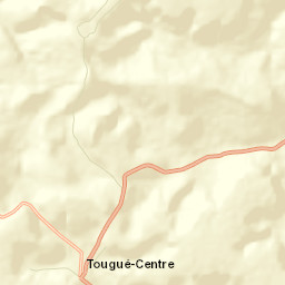 Tougué Street Map