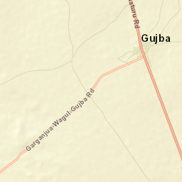 Gujba Street Map