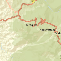 Naduvattam Street Map