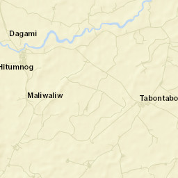 Dagami Street Map