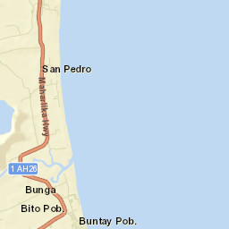Abuyog Street Map