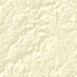 San Carlos Street Map