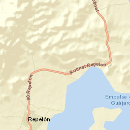 Repelón Street Map