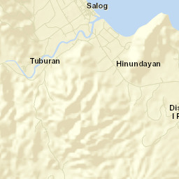 Hinunangan Street Map