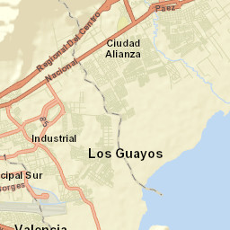 Los Guayos Street Map