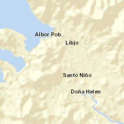 Libjo Street Map