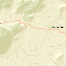 Palamedu Street Map