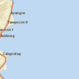 Ayungon Street Map