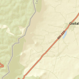 Gudalur Street Map