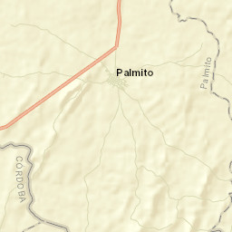 Palmito Street Map
