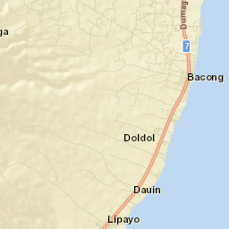 Dauin Street Map