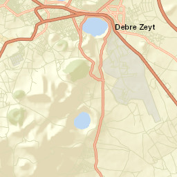 Bishoftu Street Map