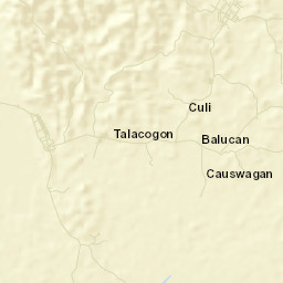 Talacogon Street Map