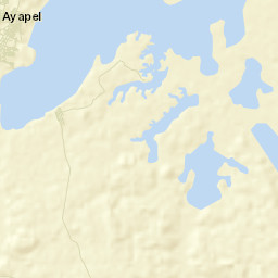 Ayapel Street Map