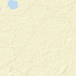 Pueblo Nuevo Street Map