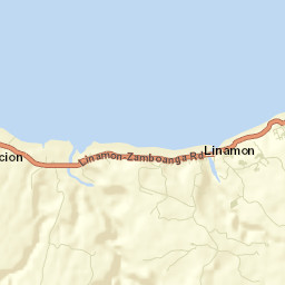 Linamon Street Map