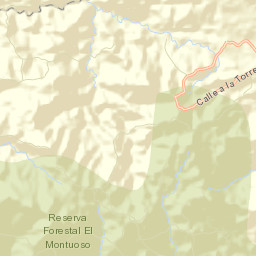 Leones Arriba Street Map