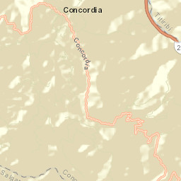 Concordia Street Map