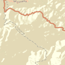 Cocorná Street Map