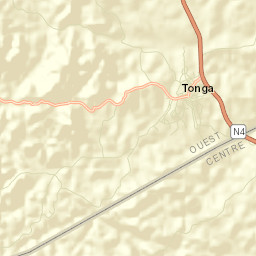 Tonga Street Map