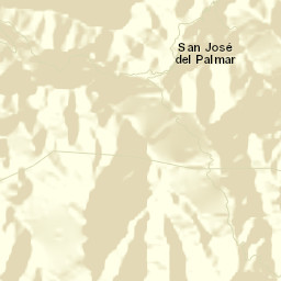 San José del Palmar Street Map