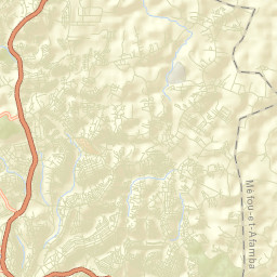 Mfoundi Street Map