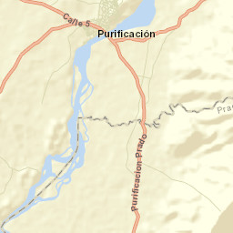 Purificación Street Map