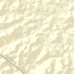 Ngomedzap Street Map