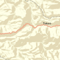 Totoró Street Map
