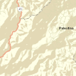 Palestina Street Map
