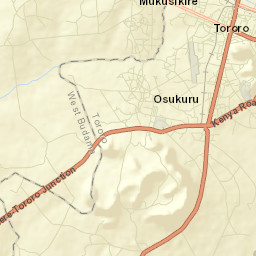 Tororo Street Map
