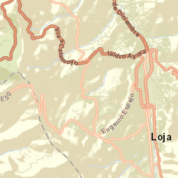 Loja Street Map