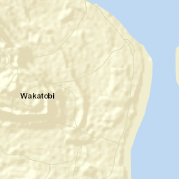 Wakatobi Regency Street Map
