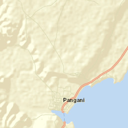 Pangani Street Map