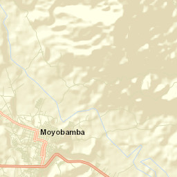 Moyobamba Street Map