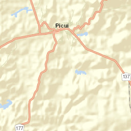 Picuí Street Map