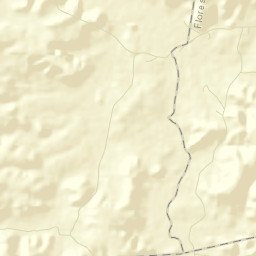 Floresta do Piauí Street Map