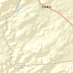 Cedro Street Map
