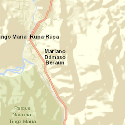 Tingo María Street Map